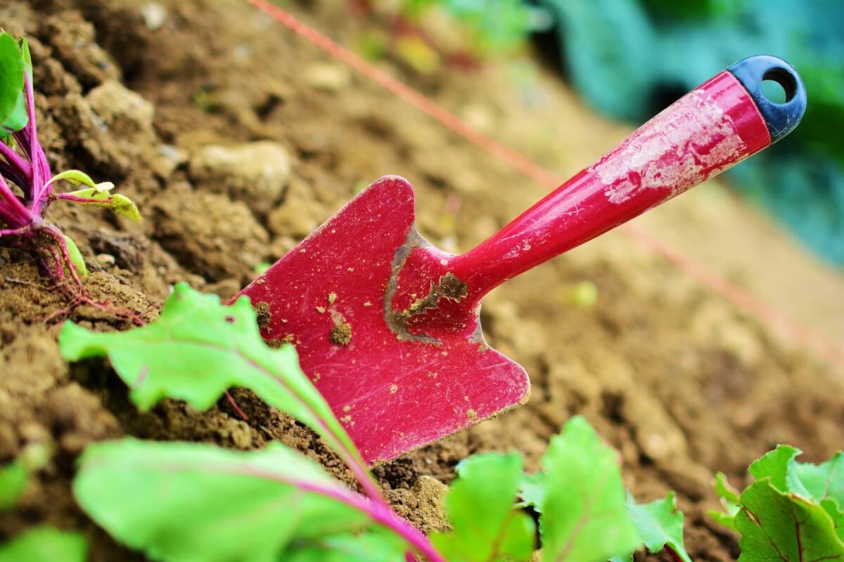 Marine Tondelier, nouvelle secrétaire nationale d’EELV : la fin du « jardinage » ?