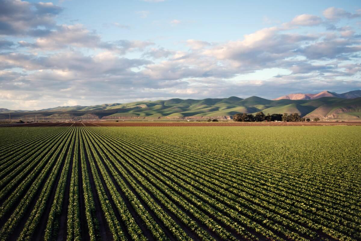 L’agroécologie, système agricole durable ?