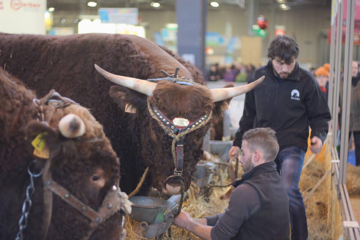 Un Salon de l’Agriculture au cœur de tous les enjeux