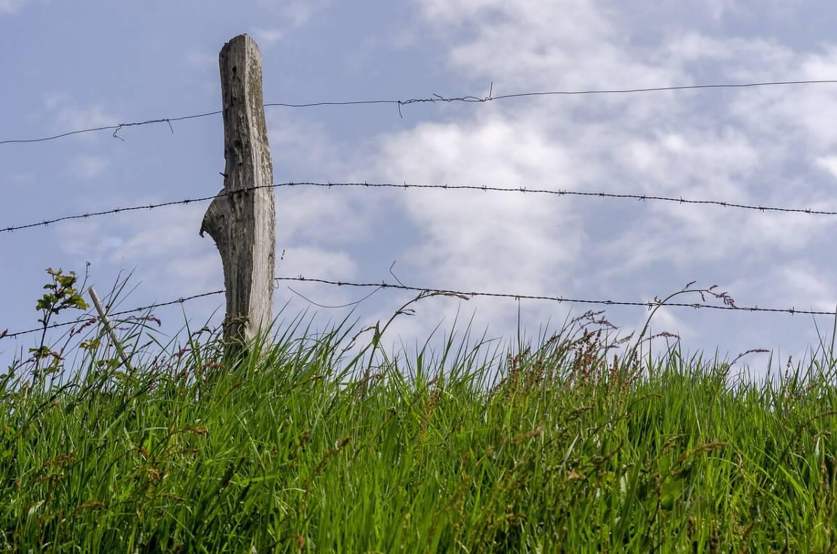 La disparition des talus comme symptôme d’une agriculture conquise aux logiques capitalistes 