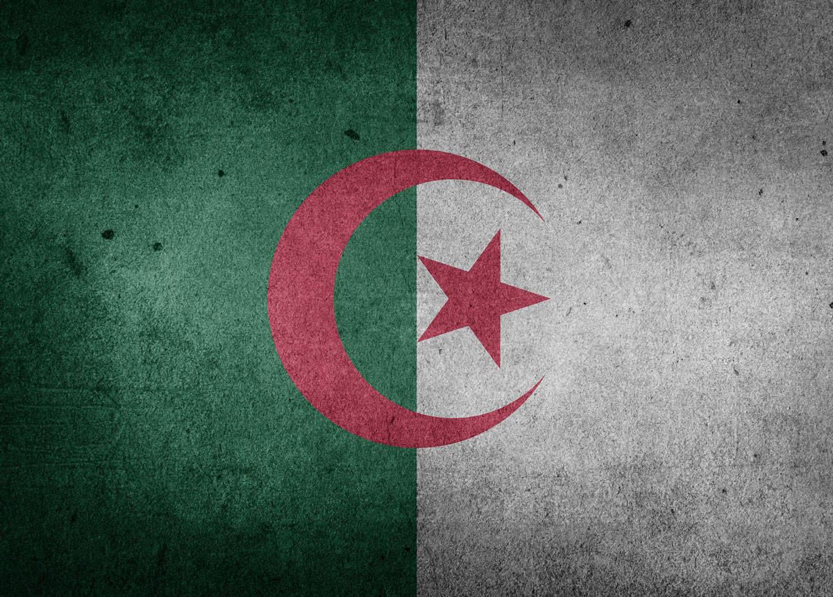 Algérie “la jeunesse est le carburant de ce mouvement” Entretien avec Rosa Moussaoui