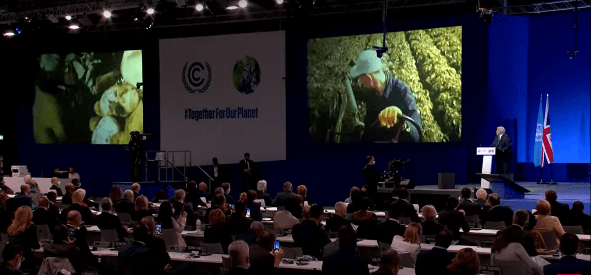 Cover Image for La COP 26, l’échec du capitalisme vert